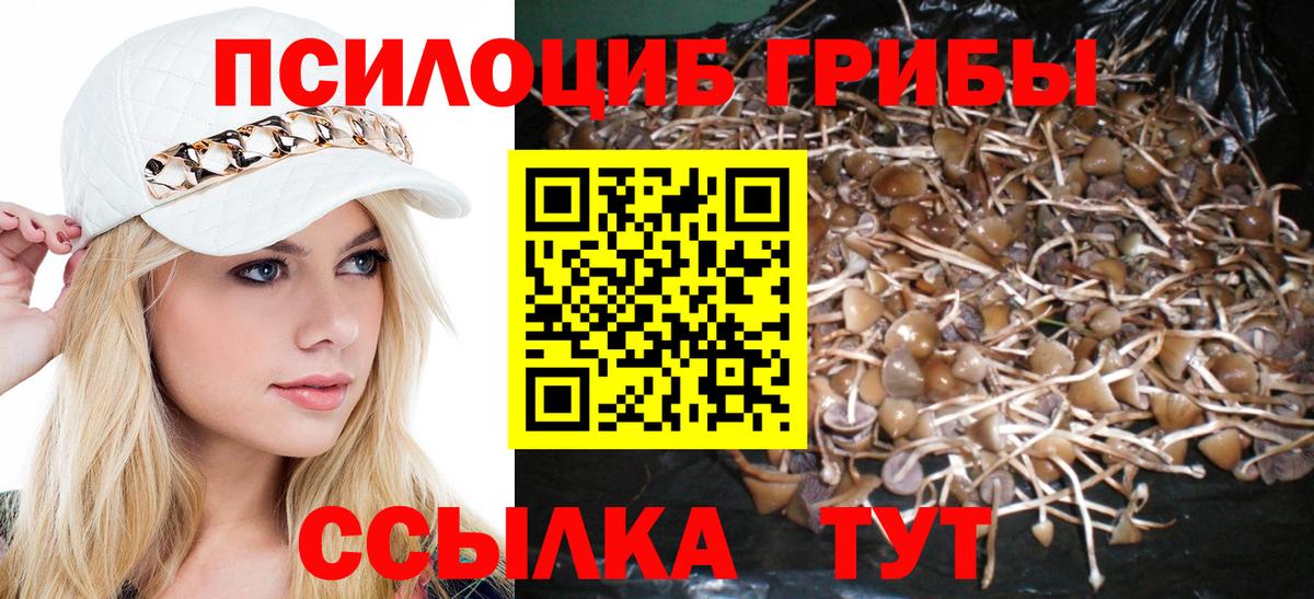 Дедовск  Галлюциногенные грибы GOLDEN TEACHER  Вход с VPN  Галлюциногенные грибы мицелий 